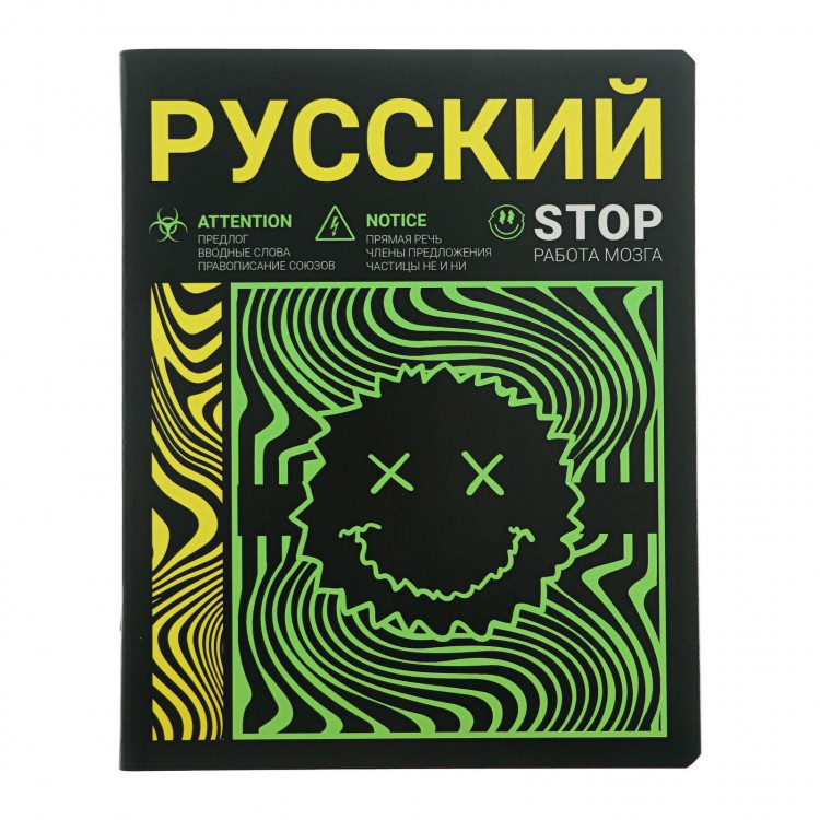 Тетрадь предметная  Неоновый смайл , 48 листов в линию  Русский язык , обложка мелованный картон, неоновая краска, блок 65 г/м 