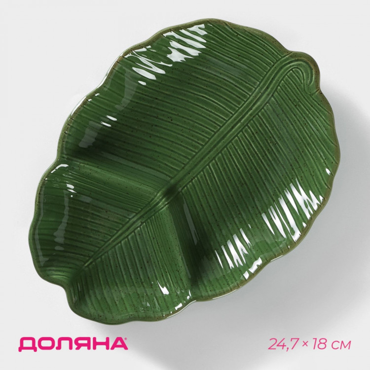 Менажница 2 ячейки Доляна «Лист», 24,7×18×3,8 см, цвет зелёный 