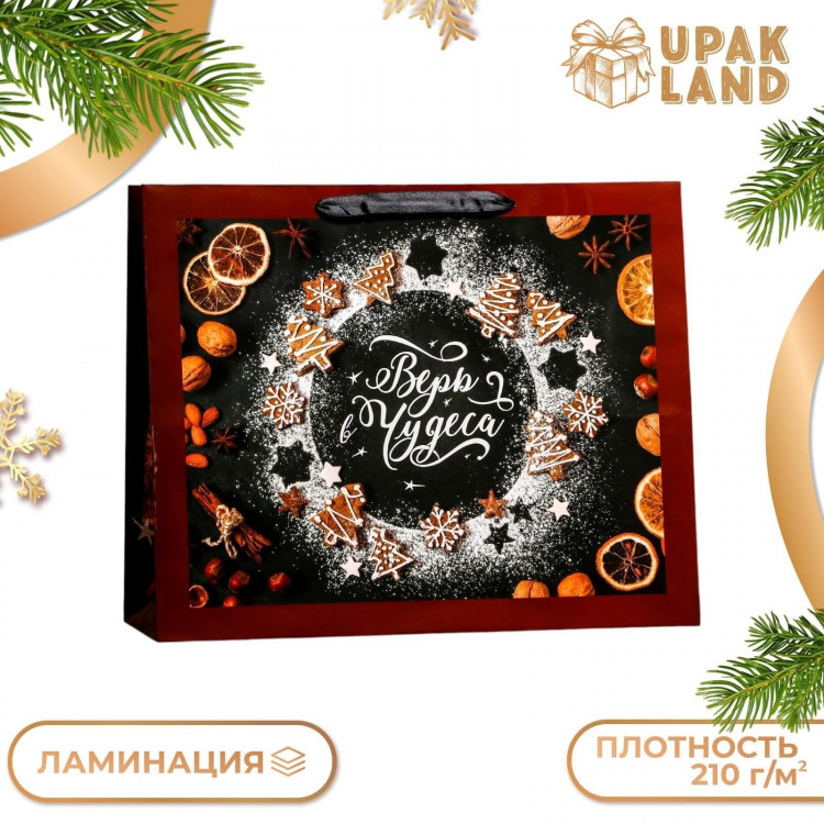 Новый год. Пакет ламинированный горизонтальный  Верь в чудеса! ,49 х 40 х 19 см. 