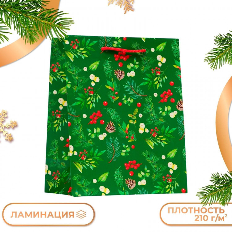 Новый год. Пакет подарочный  Веточки , 18 х 22,3 х 10 см. 