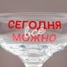 Бокал для мартини «Сегодня все можно», 270 мл